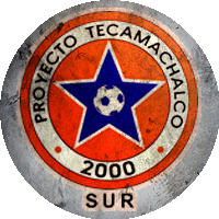 Logo Proyecto Tecamachalco 2000 Sur
